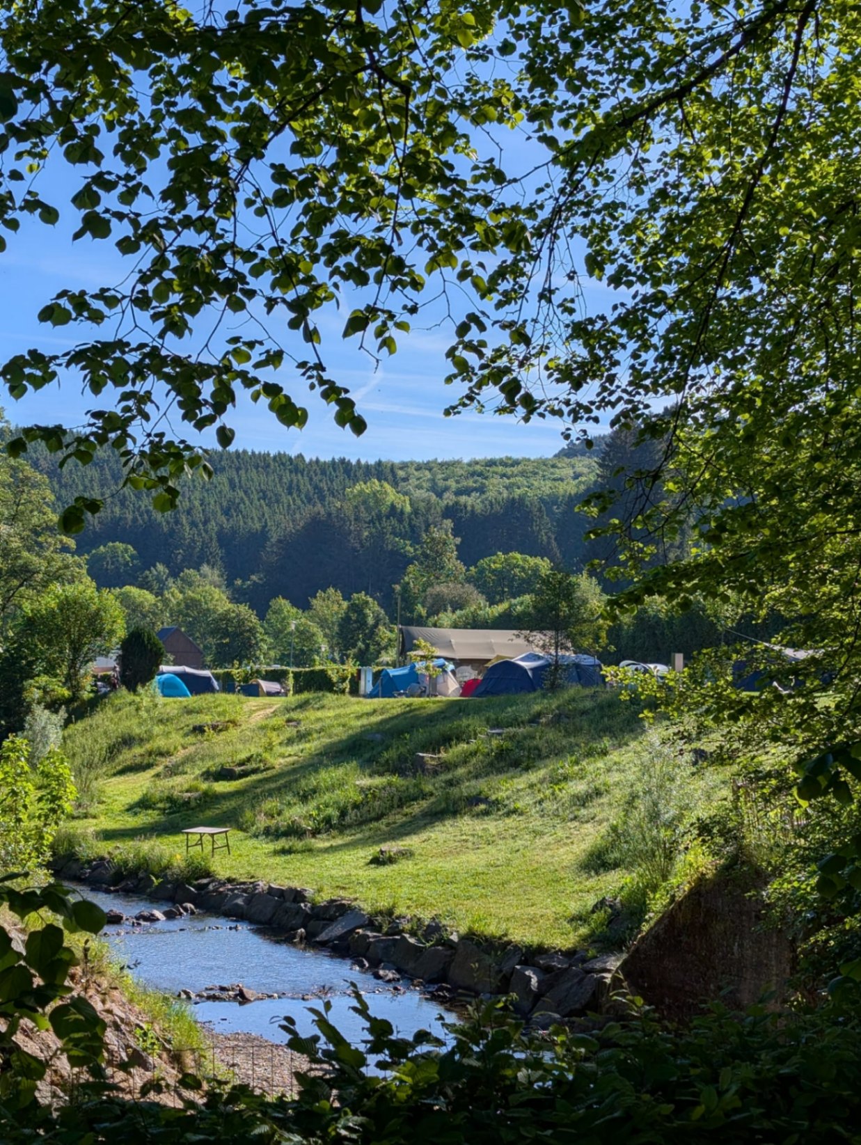 Bachzugang am Wildbach Camping in der Eifel